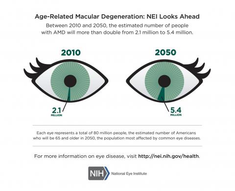 image tagged with disease, amd, statistics, infographic, age-related macular degeneration, …;