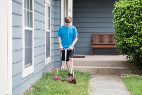 image tagged with yard, manual, mower, gardening, landscape, …;