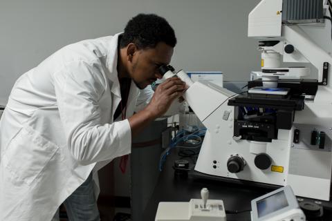 image tagged with laboratory, science, look, male, african-american, …;