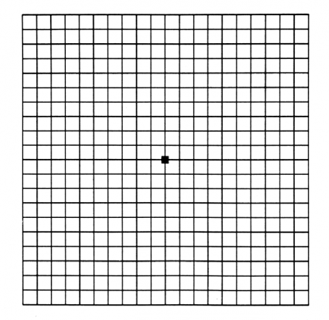 image tagged with vision, eye test chart, grid, macular degeneration, healthy vision, …;