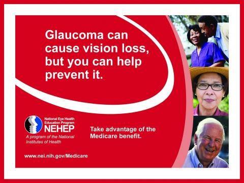 image tagged with national eye health education program, medicare, glaucoma, vision, infographic, …;