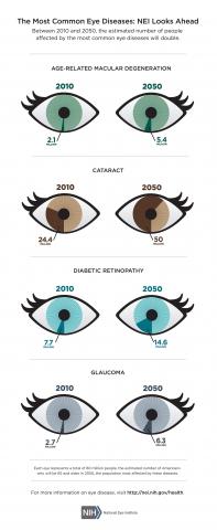image tagged with infographic, glaucoma, diabetic eye disease, diabetic retinopathy, age-related macular degeneration, …;