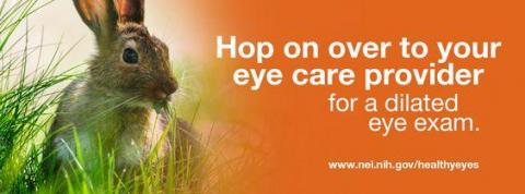 image tagged with eye health, grass, spring, eye exam, rabbit, …;