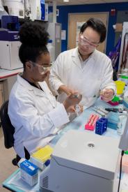 image tagged with scientist, african-american, laboratory, smiling, equipment, …;
