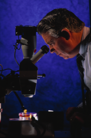 image tagged with experiment, petri, scientist, microscope, technology, …;