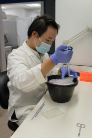image tagged with lab, asian-american, student, test, gloves, …;