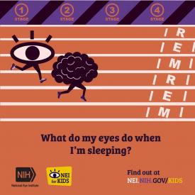 image tagged with nei kids, eyes, infographic, sleeping, nih, …;