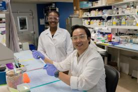 image tagged with science, coworkers, asian, laboratory, smiling, …;