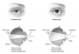 image tagged with pupil, diagram, dilated eye exam, anatomy, dilation, …;