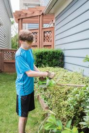 image tagged with gardening, boy, bush, landscaping, glasses, …;