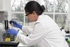 image tagged with lab coat, scientists, measurement, experiment, gloves, …;