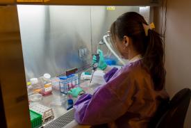 image tagged with gloves, science, flow hood, hispanic, researcher, …;