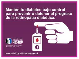 image tagged with infographic, national eye health education program, nehep, nei, diabetic eye disease, …;
