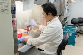 image tagged with internship, gloves, rack, asian-american, scientist, …;