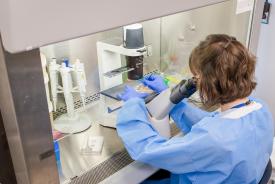 image tagged with well plate, lab, gloves, woman, hands, …;