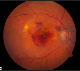 image of eye exams and medical care,anatomy,laboratory
