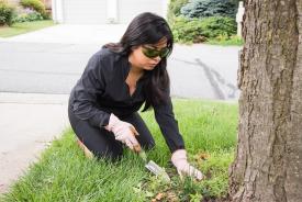 image tagged with outside, lady, planting, sunglasses, yard, …;
