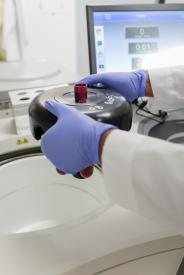 image tagged with laboratory, hold, technology, gloves, hand, …;